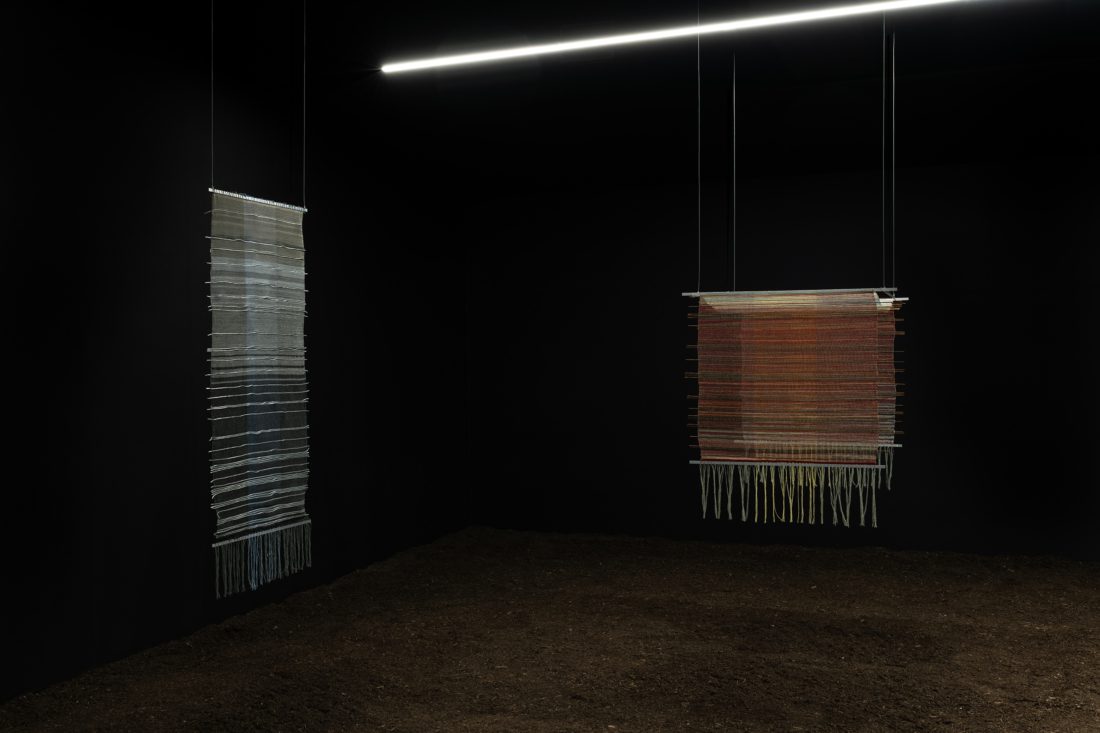 Foco Galeria Formas de Reexistência – Maria Appleton – Appleton Box