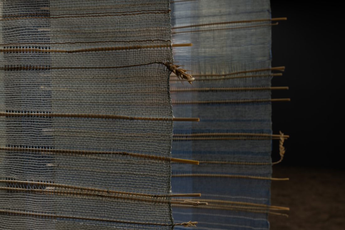 Foco Galeria Formas de Reexistência – Maria Appleton – Appleton Box