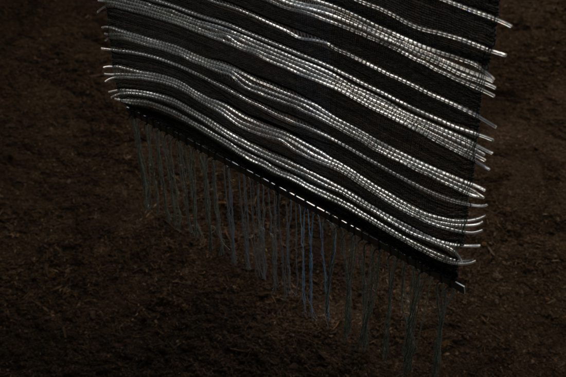 Foco Galeria Formas de Reexistência – Maria Appleton – Appleton Box