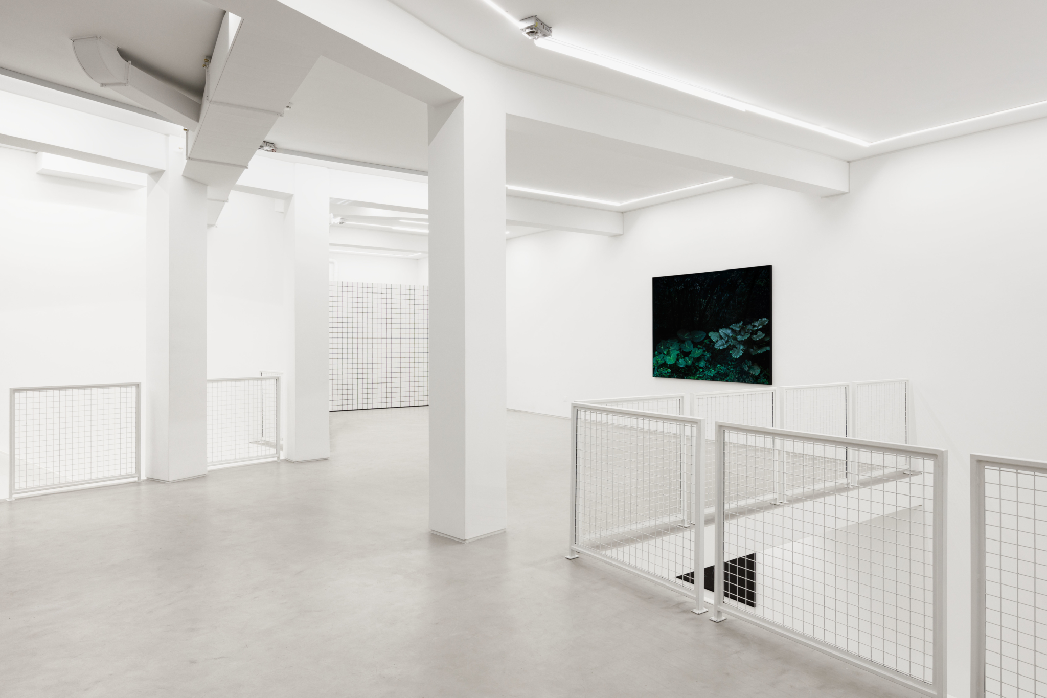 Galeria Foco Contemporary art gallery Lisbon