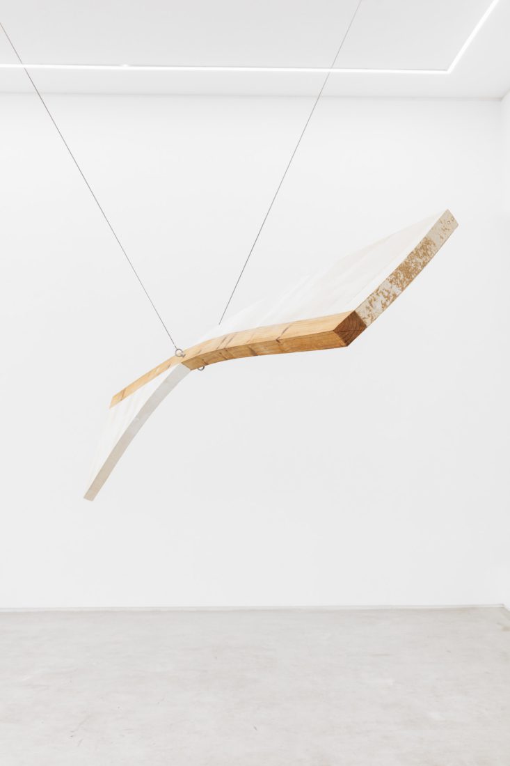 Foco Galeria Unfinishablinging. Di siffatte movenze era pieno il mondo