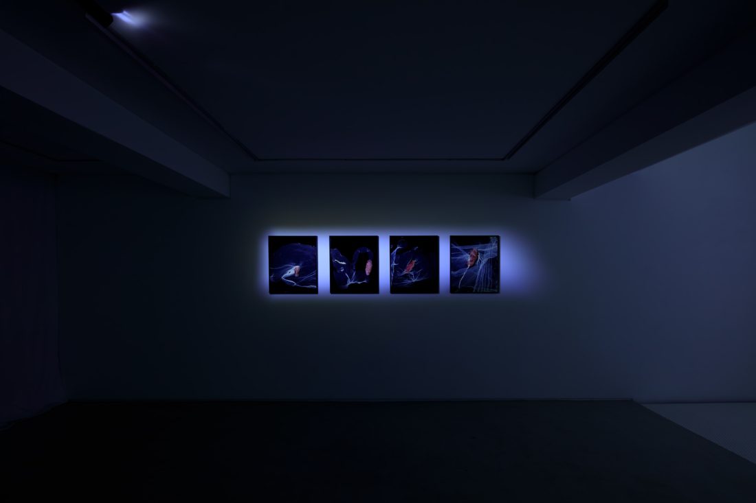 Foco Galeria Mermaids of a Restless Sea