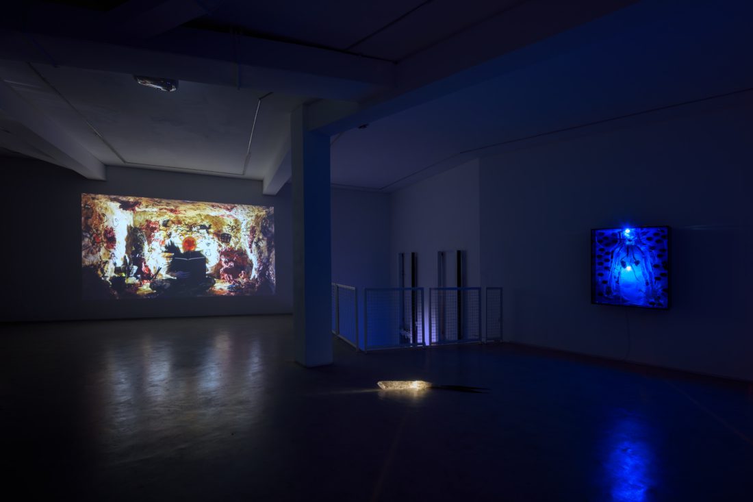Foco Galeria Nádia Duvall