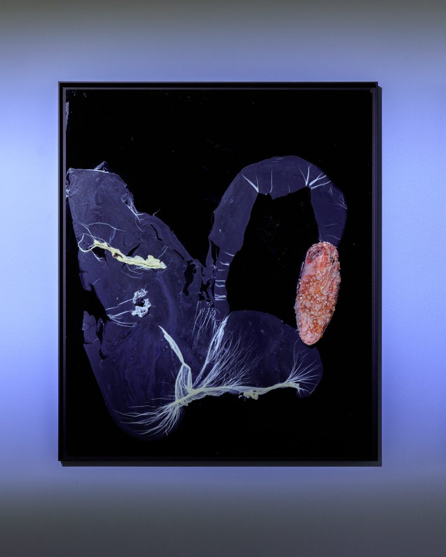 Foco Galeria Mermaids of a Restless Sea