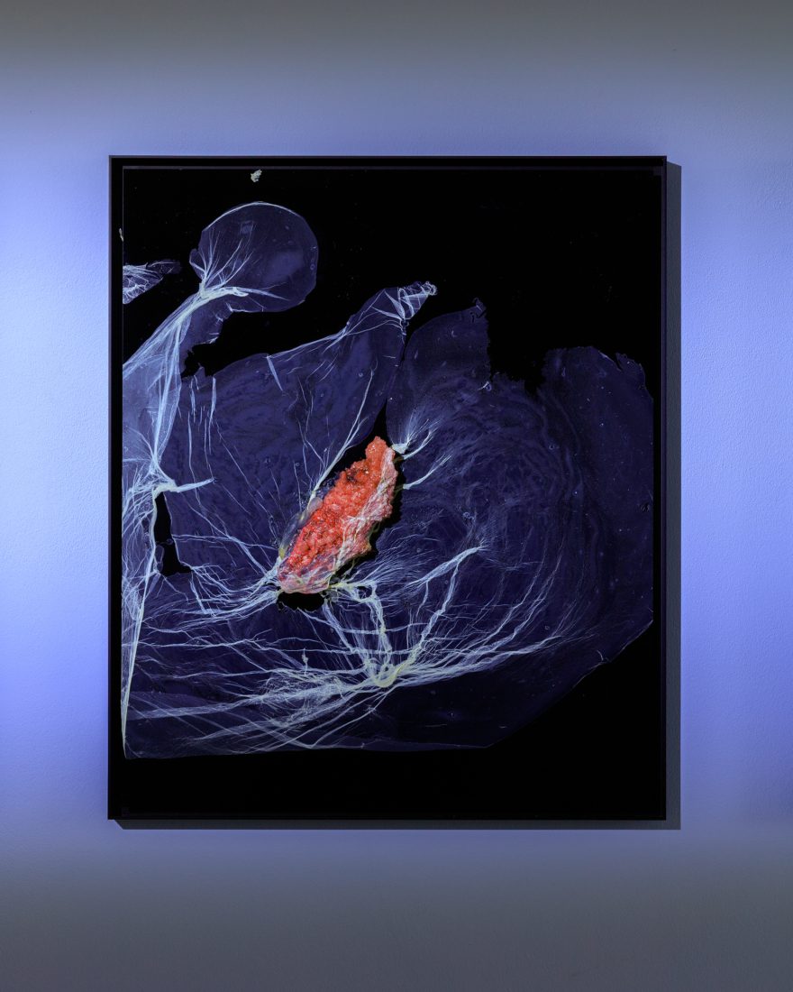 Foco Galeria Mermaids of a Restless Sea