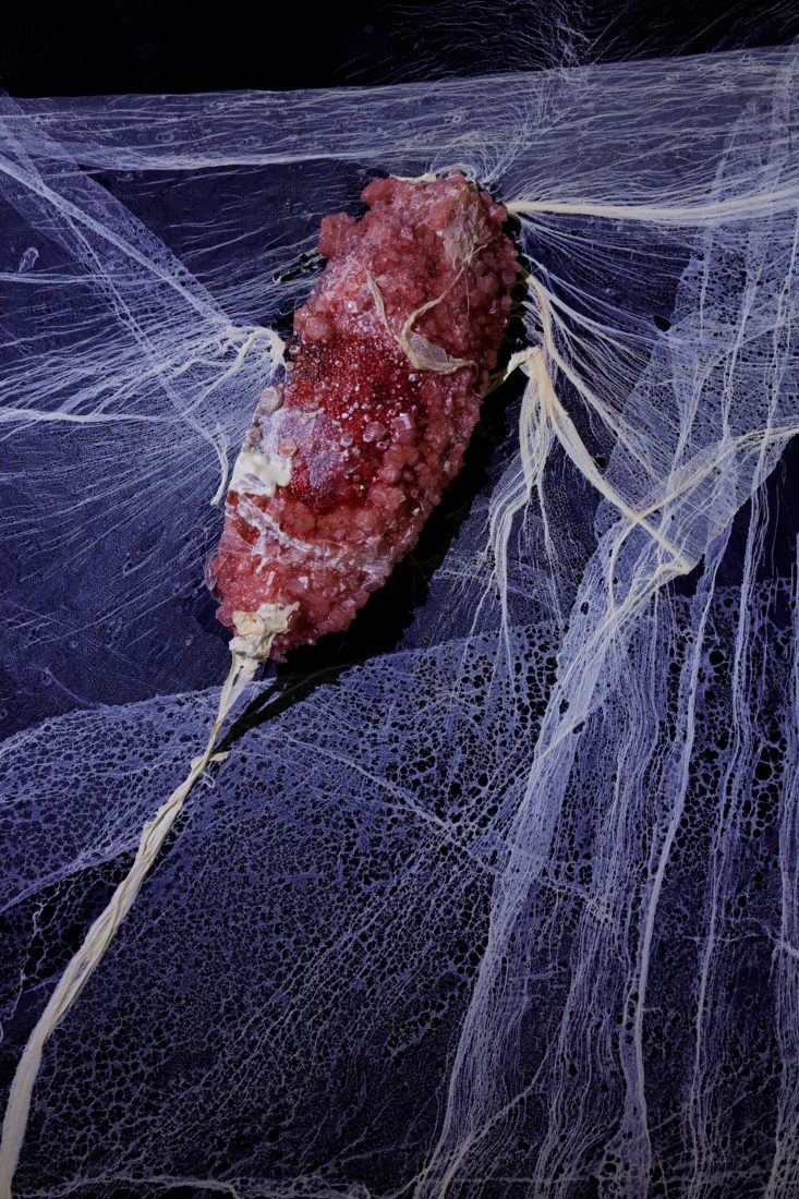 Foco Galeria Mermaids of a Restless Sea