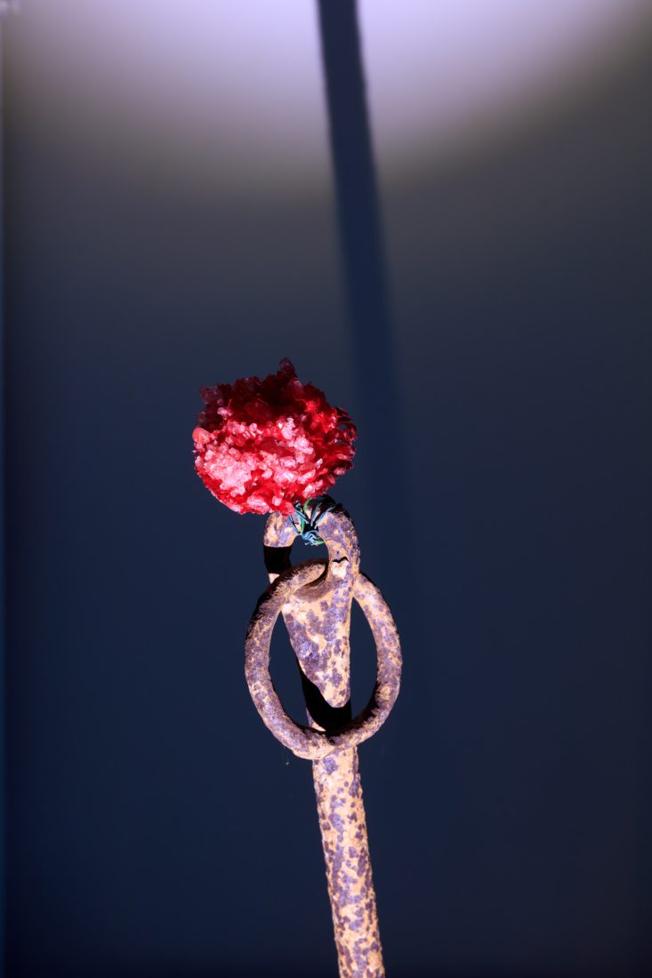 Foco Galeria Mermaids of a Restless Sea