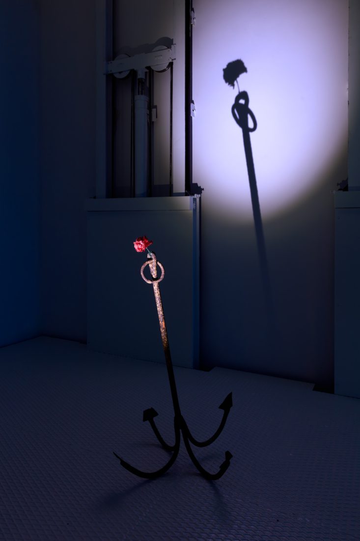 Foco Galeria Mermaids of a Restless Sea