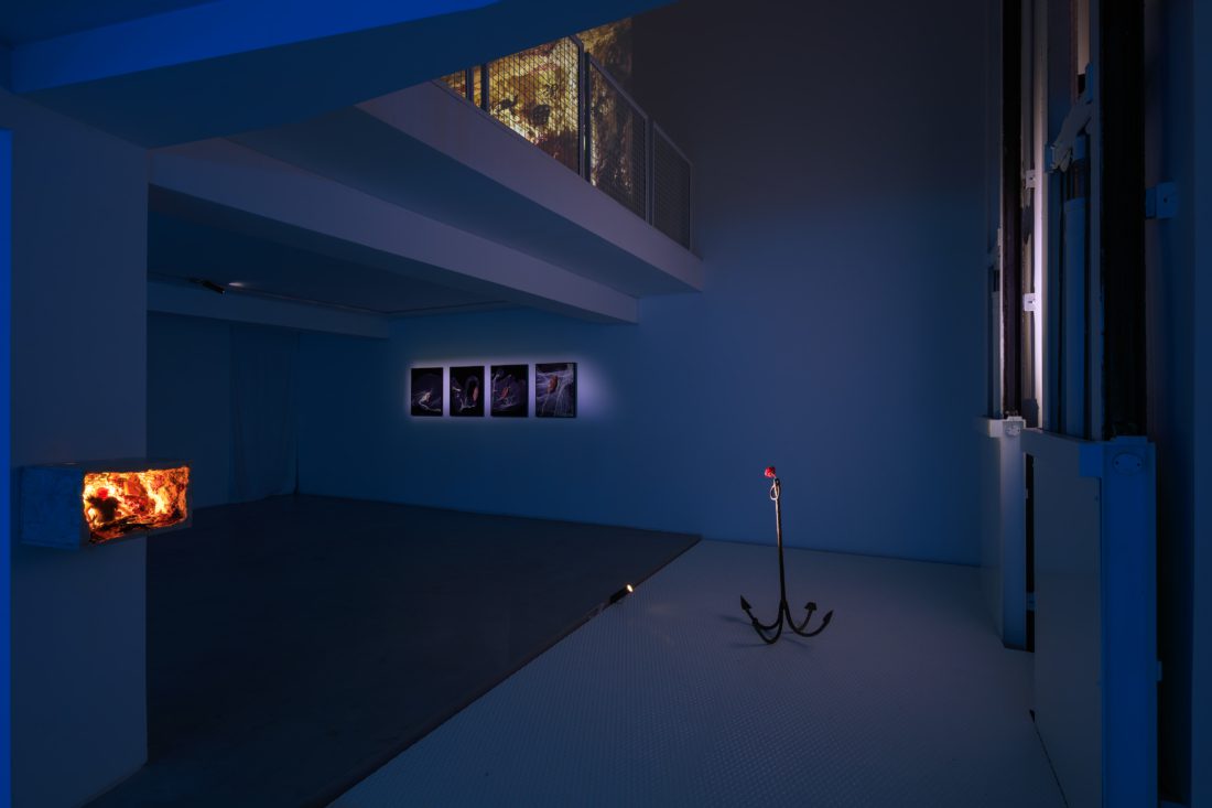 Foco Galeria Mermaids of a Restless Sea