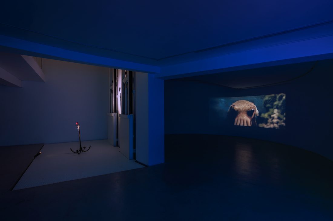 Foco Galeria Mermaids of a Restless Sea