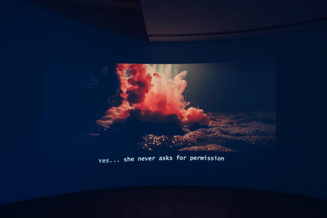 Foco Galeria Mermaids of a Restless Sea