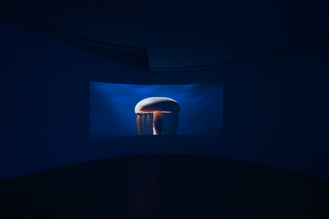 Foco Galeria Nádia Duvall