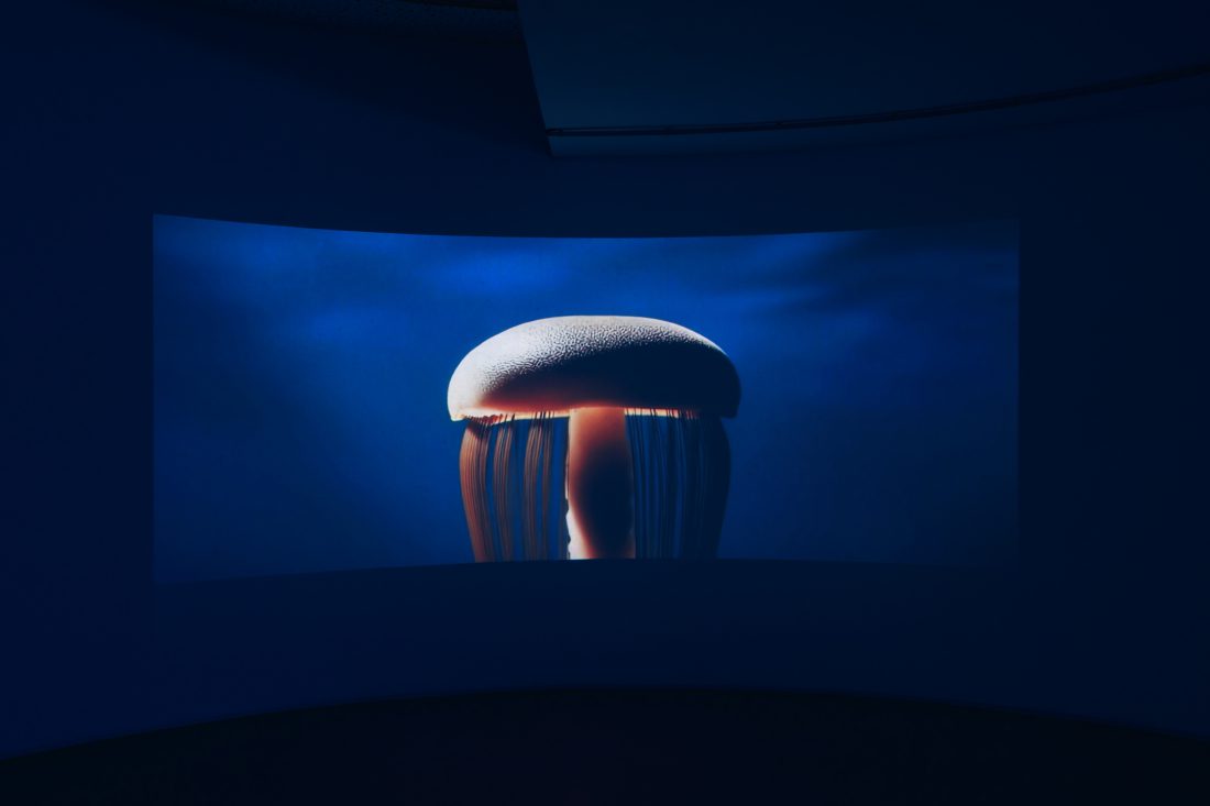 Foco Galeria Mermaids of a Restless Sea