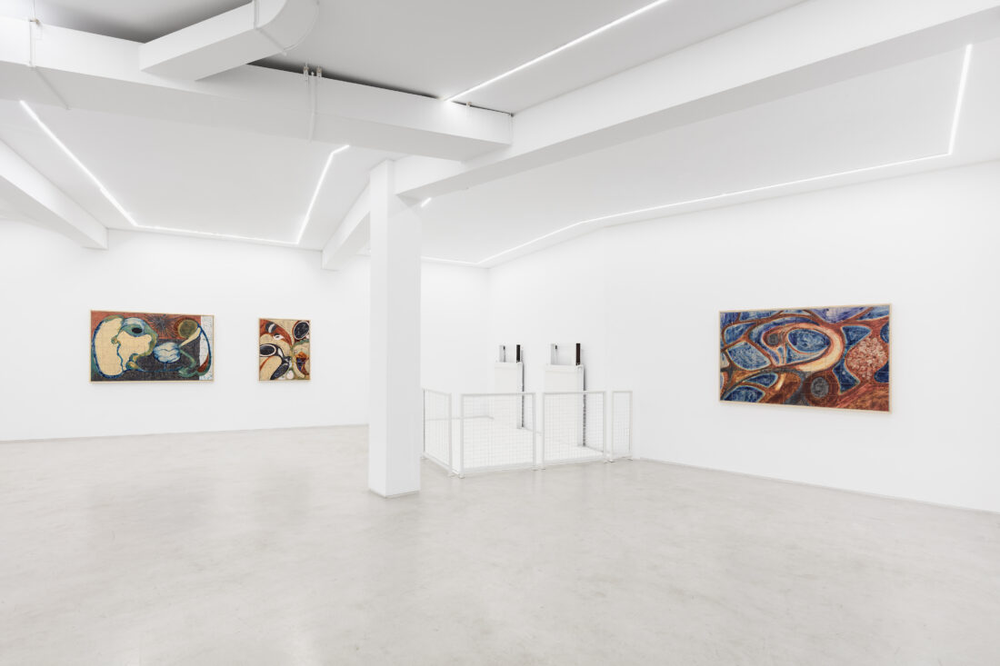 Foco Galeria ix ocelli