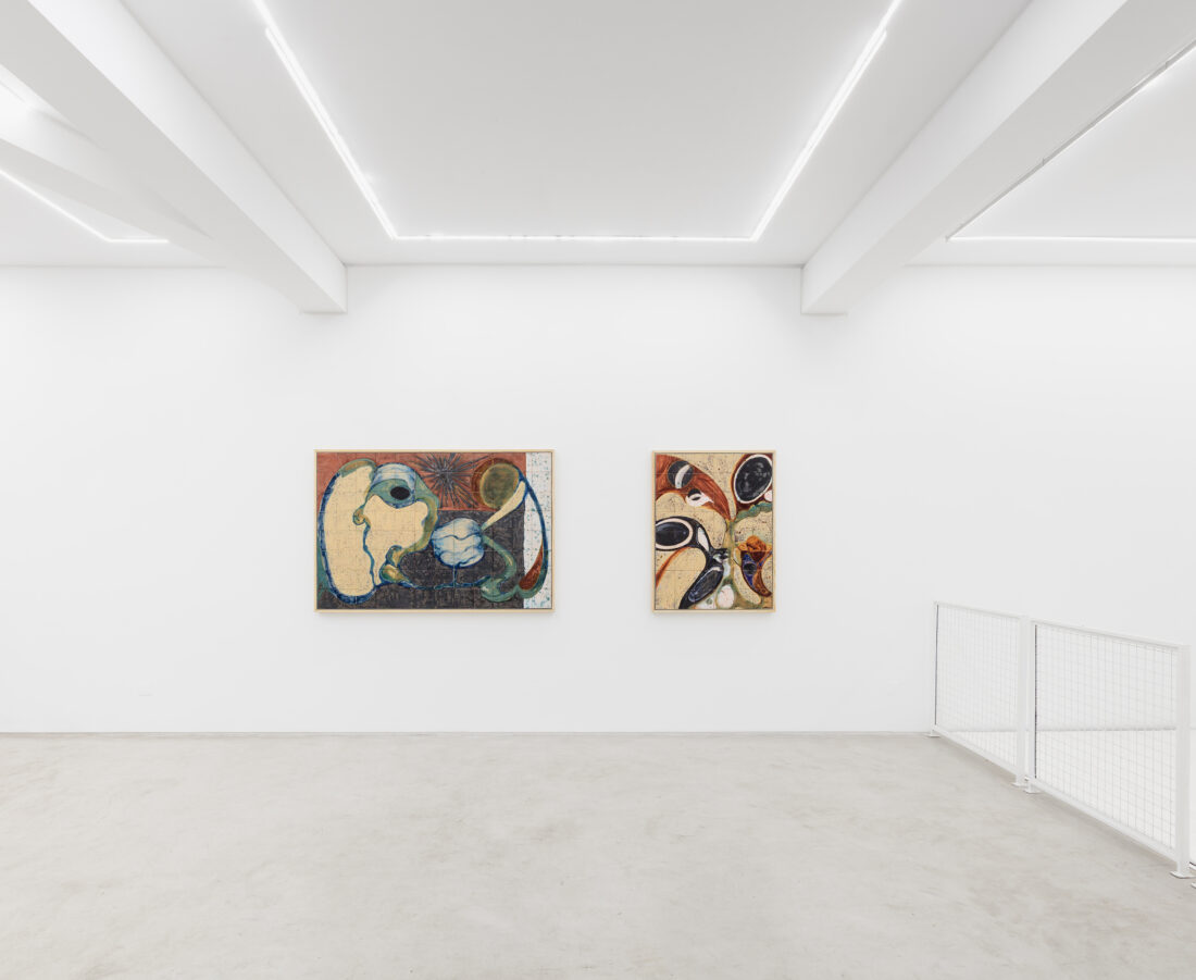 Foco Galeria ix ocelli