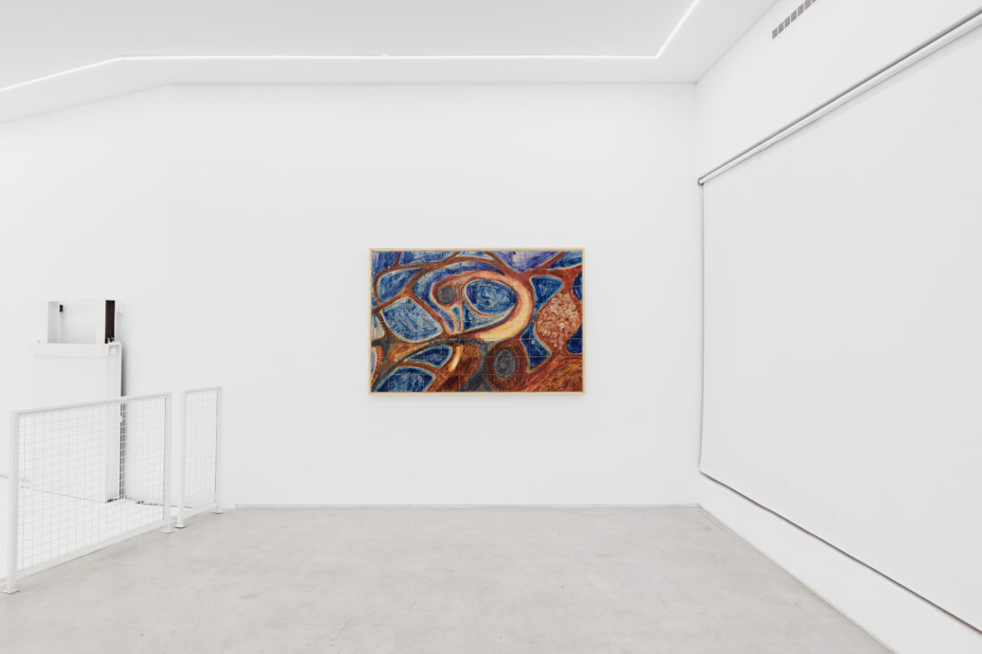 Foco Galeria ix ocelli