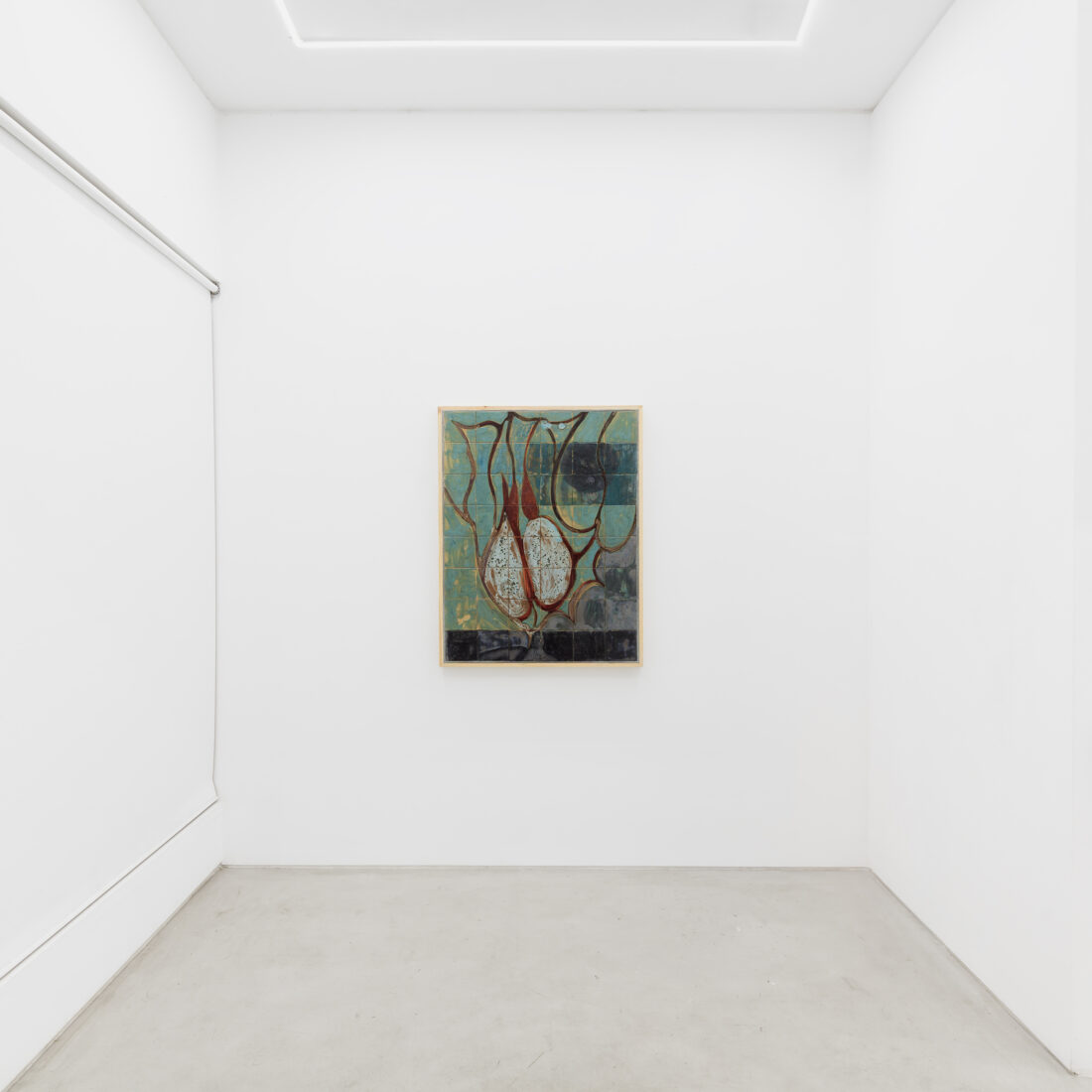 Foco Galeria ix ocelli