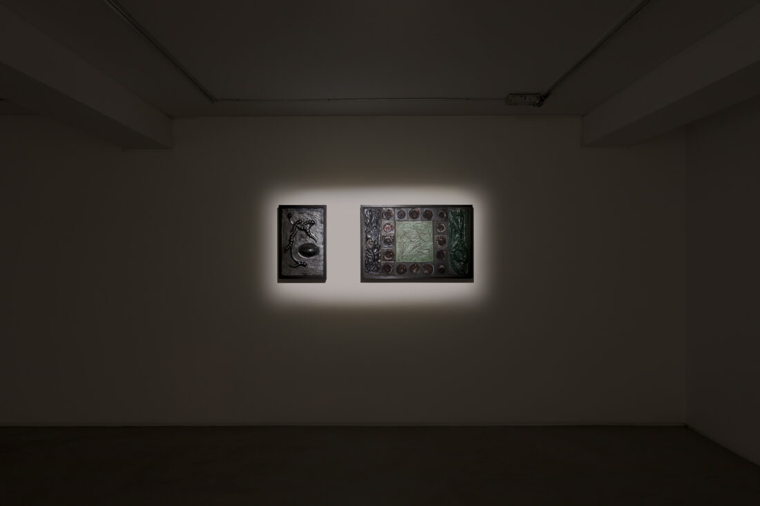 Foco Galeria ix ocelli