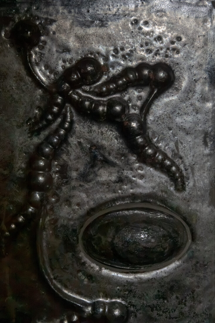 Foco Galeria ix ocelli