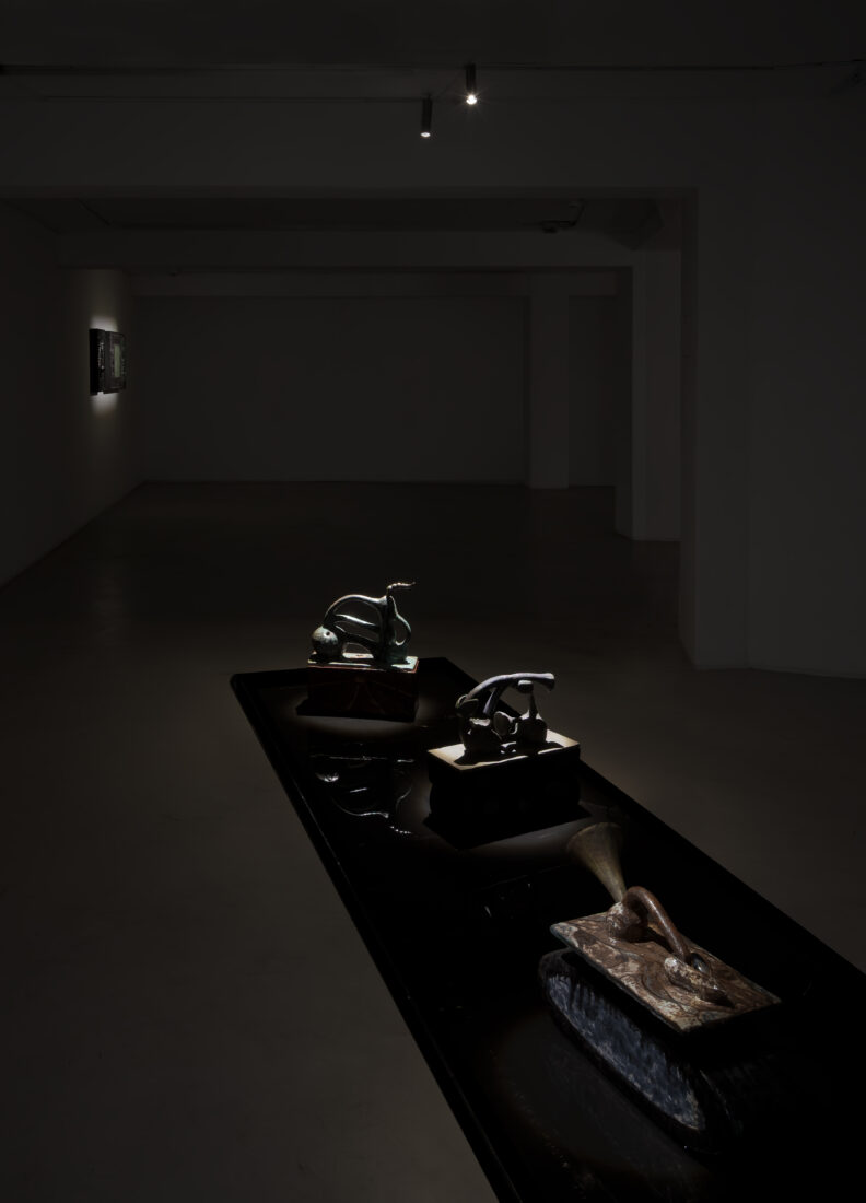Foco Galeria ix ocelli