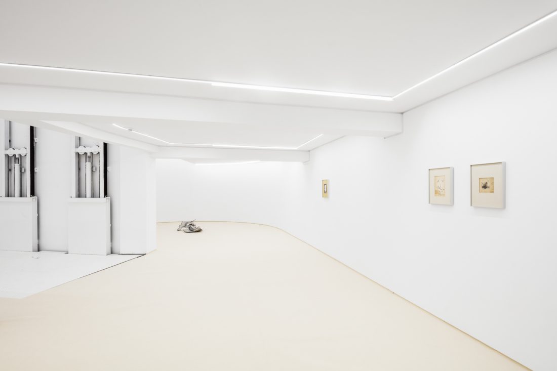 Foco Galeria Manuel Tainha