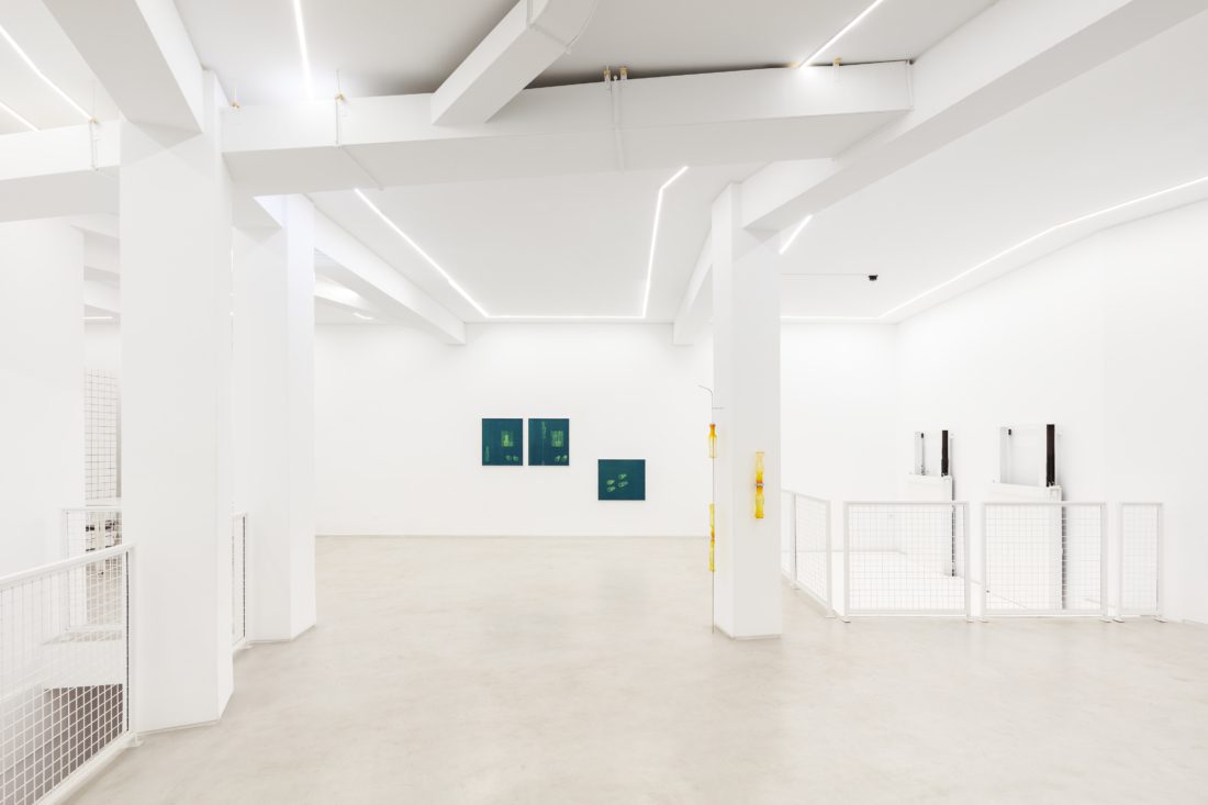 Foco Galeria Gabriel Ribeiro