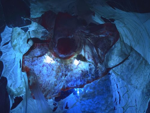 Foco Galeria Mermaids of a Restless Sea